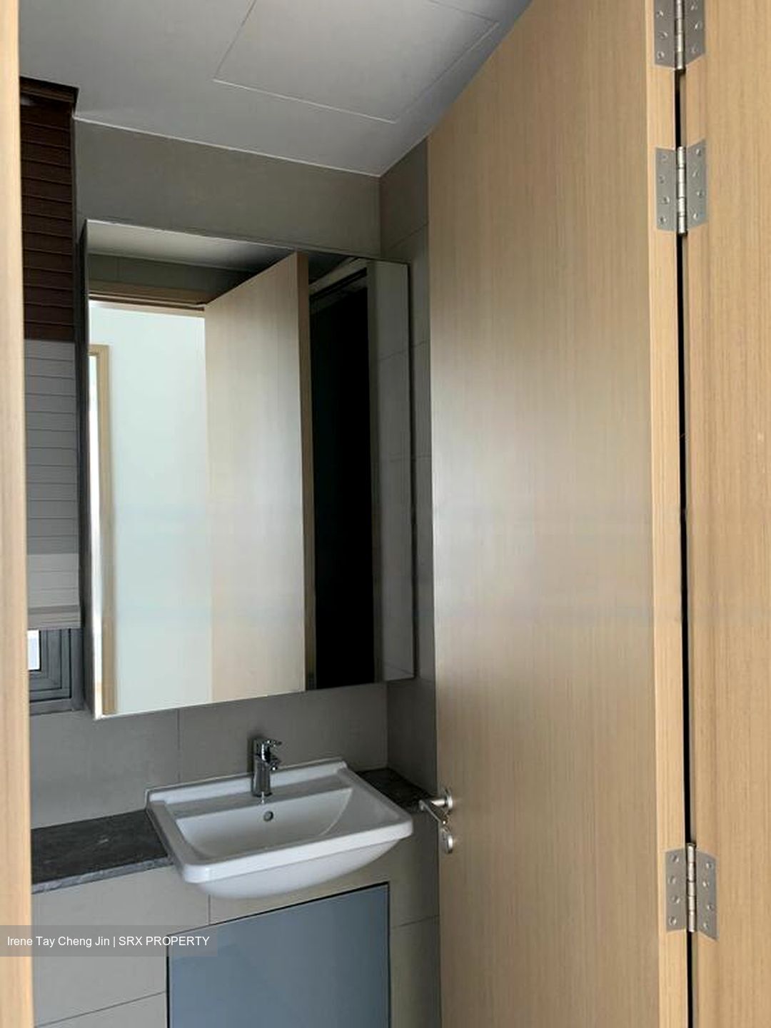 Skyline Residences (D4), Condominium #481237911